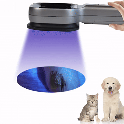 grok-video-add9e2a6-1f49-4e9c-8dfd-8723e5fd05ed